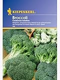 Kiepenkerl Brokkoli Calabrese natalino Foto, Bestseller 2024-2023 neu, bester Preis 2,01 € Rezension