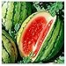 Photo 25 Dixie Queen Watermelon Seeds | Non-GMO | Heirloom | Instant Latch Garden Seeds new bestseller 2024-2023