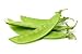 Photo Sugar Snap Snow Peas, 50 Heirloom Seeds Per Packet, Non GMO Seeds, Botanical Name: Pisum sativum 'Macrocarpon Group', Isla's Garden Seeds new bestseller 2024-2023