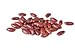 Photo Bush Bean Red Kidney Bean Seeds new bestseller 2024-2023