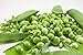 Photo Early Frosty Pea Seeds, 50 Heirloom Seeds Per Packet, Non GMO Seeds, Isla's Garden Seeds new bestseller 2024-2023