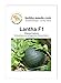 Foto Melonensamen Lantha F1 Wassermelone Portion neu Bestseller 2024-2023