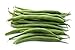 Photo Green Bean Seeds for Planting - Provider - Bush Bean - 50 Seeds - Heirloom Non-GMO Vegetable Seeds for Planting new bestseller 2024-2023