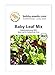 Foto BIO-Salatsamen Baby Leaf Pflücksalat Portion neu Bestseller 2024-2023