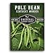 Photo Survival Garden Seeds - Kentucky Wonder Pole Bean Seed for Planting - Packet with Instructions to Plant and Grow Delicious Snap Beans in Your Home Vegetable Garden - Non-GMO Heirloom Variety new bestseller 2024-2023