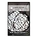Photo Sow Right Seeds - Henderson Lima Bean Seed for Planting - Non-GMO Heirloom Packet with Instructions to Plant a Home Vegetable Garden new bestseller 2024-2023
