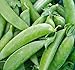 Photo Pea Seed, Sugar Snap Pea, Heirloom, Non GMO, 20 Seeds, Perfect Peas, Country Creek Acres new bestseller 2024-2023