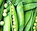 Photo 50 Lincoln Pea Seeds | Non-GMO | Fresh Garden Seeds new bestseller 2024-2023
