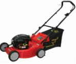 self-propelled lawn mower DDE WYZ18-WD65, characteristics and Photo