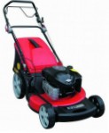 self-propelled lawn mower DDE WYZ22H, characteristics and Photo