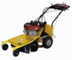 self-propelled lawn mower Eurosystems Professionale 63, characteristics and Photo