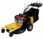 self-propelled lawn mower Eurosystems Professionale 67 Electric starter, characteristics and Photo