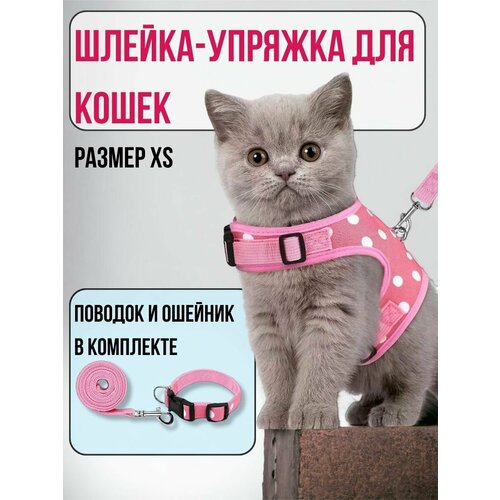 фотография Шлейка для кошек, розовая XS, купить онлайн за 634 рубл