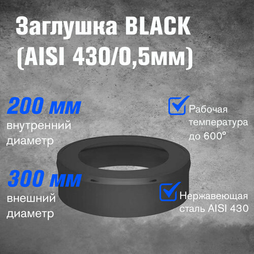 фотография Заглушка BLACK (AISI 430/0,5мм) (200х300), купить онлайн за 1495 рубл