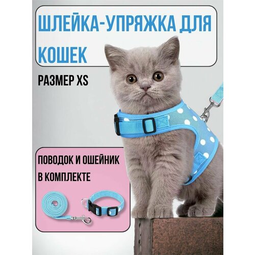 фотография Шлейка для кошек, голубая XS, купить онлайн за 572 рубл