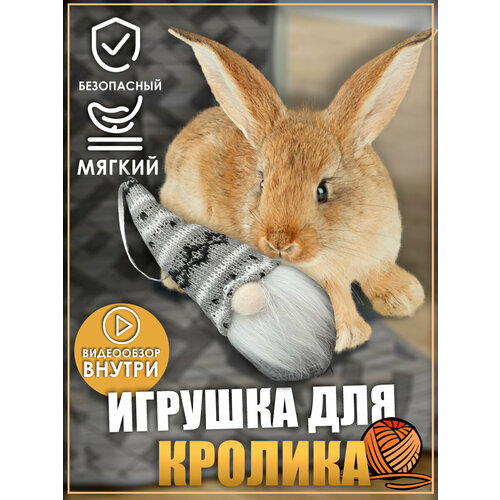 фотография Игрушка для кролика, гномик, игрушки для грызунов, игрушки для животных, купить онлайн за 450 рубл