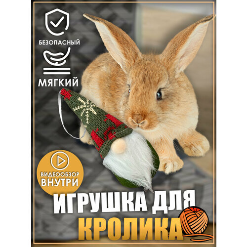 фотография Игрушка для кролика, гномик, игрушки для грызунов, для животных, купить онлайн за 430 рубл