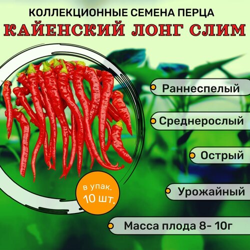 фотография Коллекционные семена перца острого Кайенский лонг слим, купить онлайн за 101 рубл