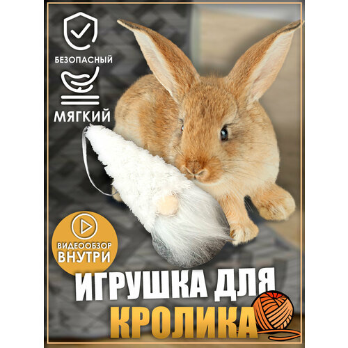 фотография Игрушка для кролика, игрушки для грызунов,, купить онлайн за 401 рубл