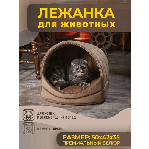 фотография Домик Лежанка для Кошки, Кота, Лежак Кошек, Собак с Подушкой, купить онлайн за 1690 рубл