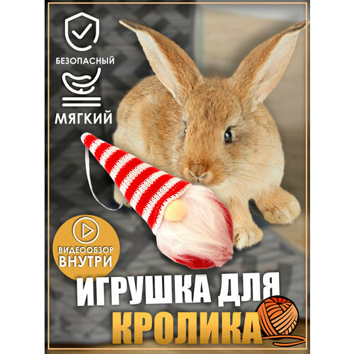 фотография Игрушка для кролика, гном, игрушки для грызунов, игрушки для животных, купить онлайн за 377 рубл