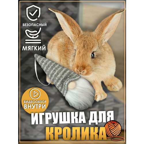 фотография Игрушка для кролика, игрушки для грызунов, игрушки для животных, купить онлайн за 450 рубл