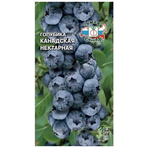 фотография Семена Голубика канадская Нектарная 0,05гр, купить онлайн за 185 рубл