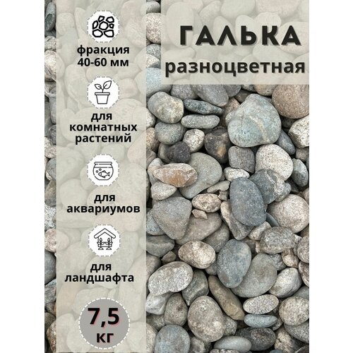 фотография Галька разноцветная(пестрая) 40-60мм (7.5кг) Грунт для аквариума/террариума, купить онлайн за 1100 рубл