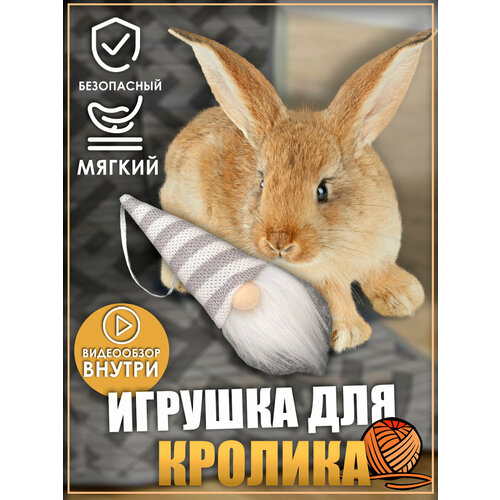 фотография Игрушка для кролика, гномики, игрушки для грызунов, игрушки для животных, купить онлайн за 627 рубл