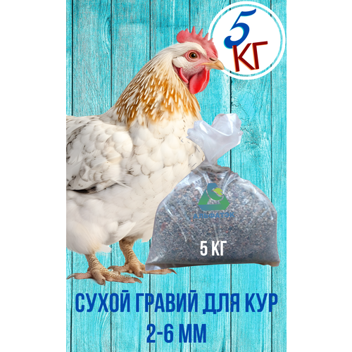 фотография Сухой гравий 2-6 мм для кур, мешок 5 кг, купить онлайн за 586 рубл