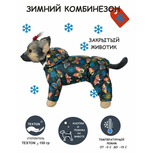 фотография Зимний комбинезон для собак DOGMODA Бабочки девочка размер 4, купить онлайн за 2000 рубл