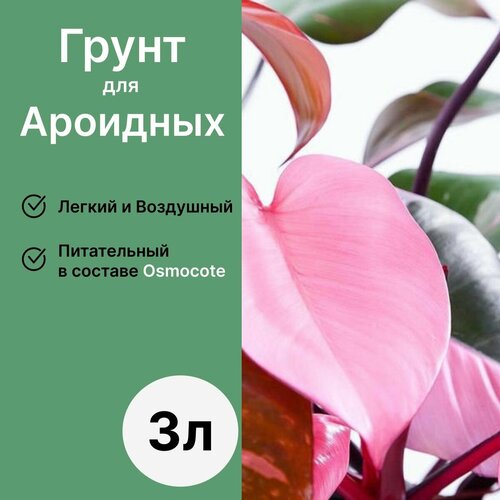 фотография Грунт для ароидных растений и цветов 3л / Бионика, купить онлайн за 535 рубл