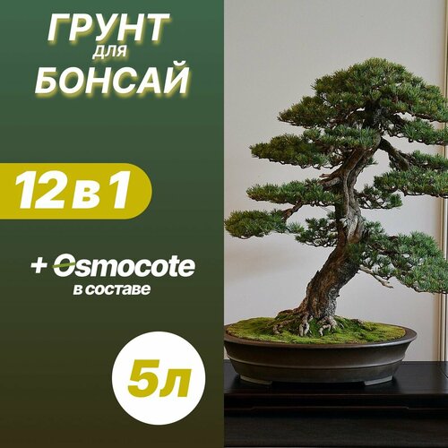 фотография Грунт для Бонсай 5л / Бионика, купить онлайн за 640 рубл