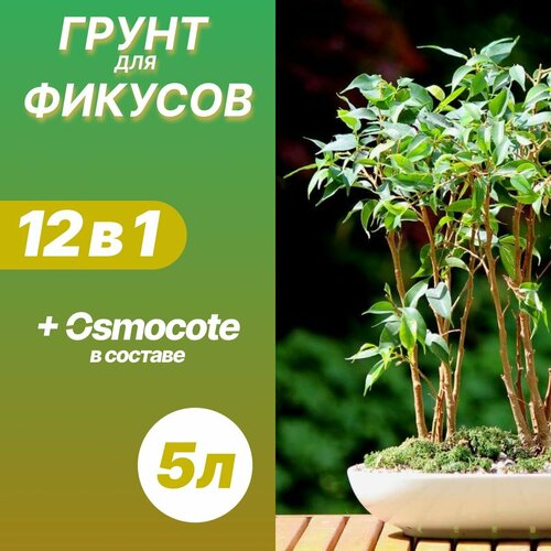 фотография Грунт для Фикуса 5л / Бионика, купить онлайн за 640 рубл