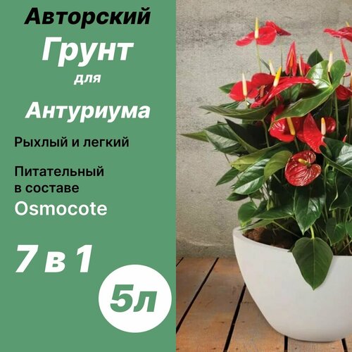 фотография Грунт для Антуриума 5л / Бионика, купить онлайн за 640 рубл