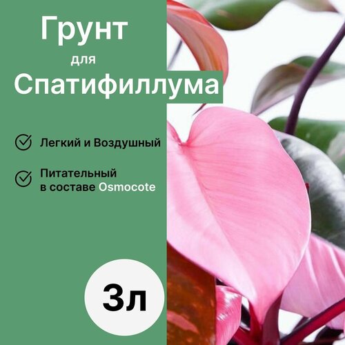 фотография Грунт для спатифиллума 3л / Бионика, купить онлайн за 535 рубл