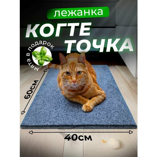 фотография Когтеточка для кошки напольная лежанка с кошачьей мятой, 60х40 см/ серая, купить онлайн за 612 рубл