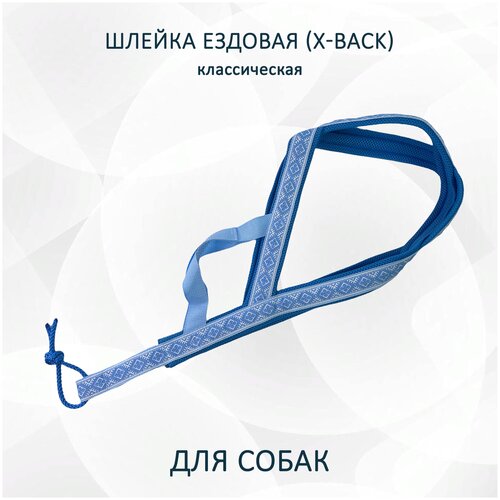 фотография Шлейка ездовая X-Back, классическая 