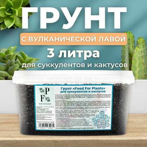 фотография Грунт для суккулентов и кактусов. Субстрат для комнатных растений., купить онлайн за 689 рубл