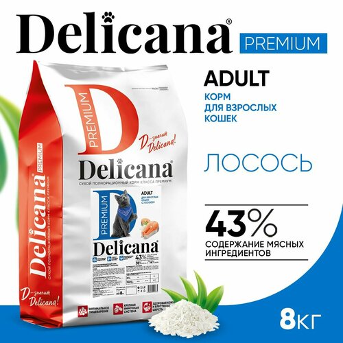 фотография DELICANA Корм сухой для кошек Лосось 8 кг, купить онлайн за 4293 рубл