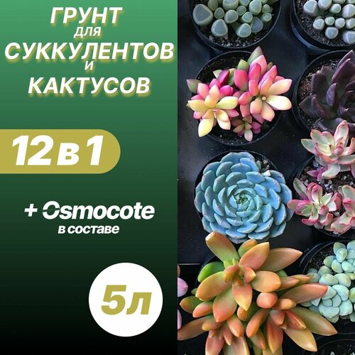 фотография Грунт для кактусов и суккулентов 5л / Бионика, купить онлайн за 722 рубл